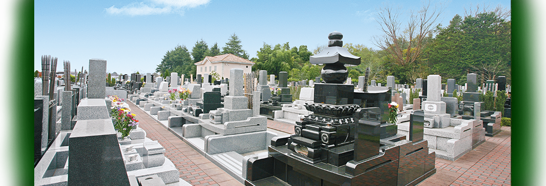 降り注ぐ陽光と静寂さのハーモニー